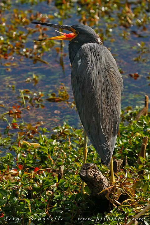 2009-01-10 11-18-00__MG_2252.JPG
